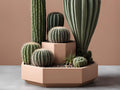 Jardinière pour cactus octogonale Double-étage
