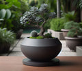 Pot à Bonsaï Moderne