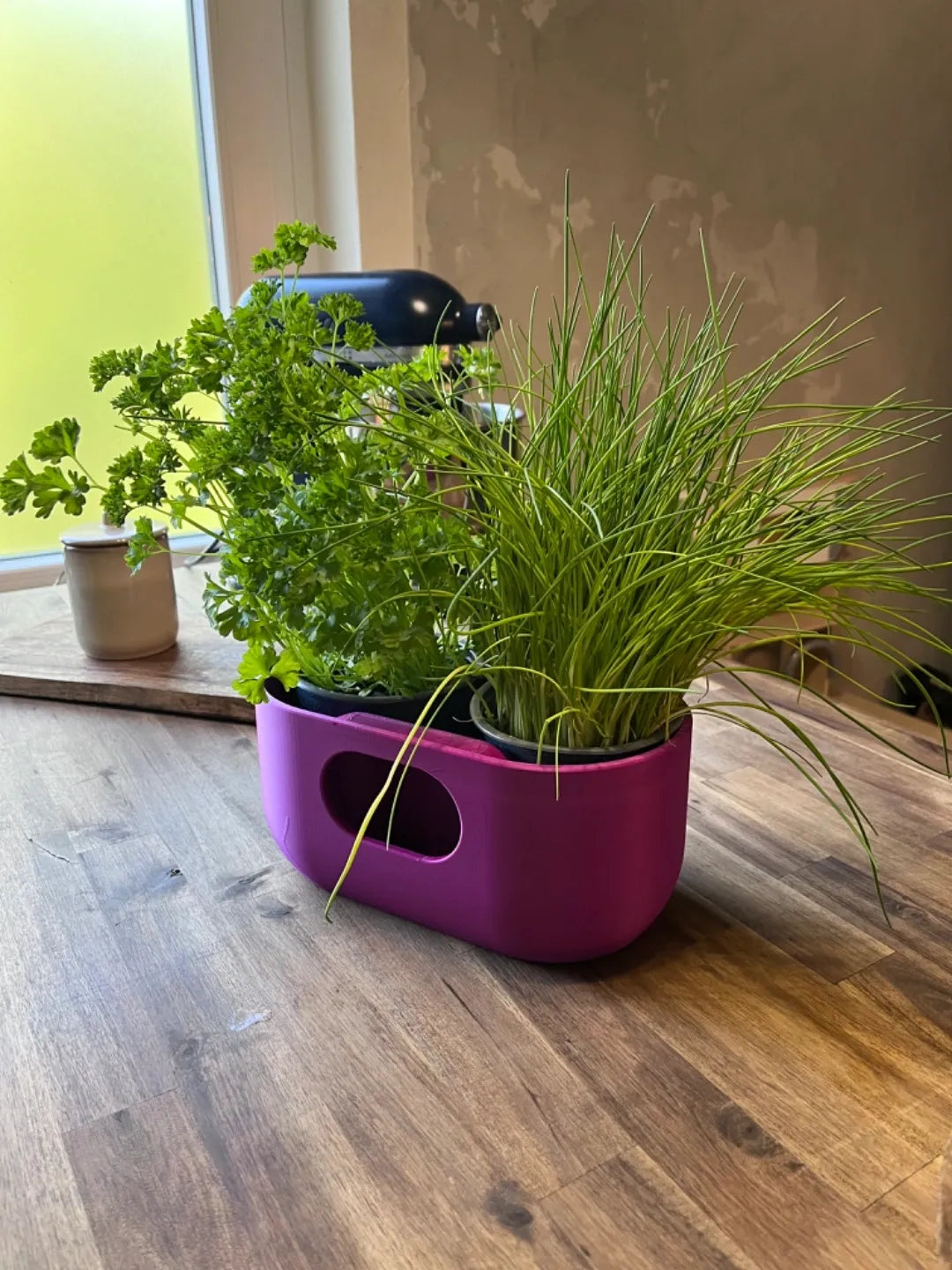 Jardinière auto-arrosante au design élégant