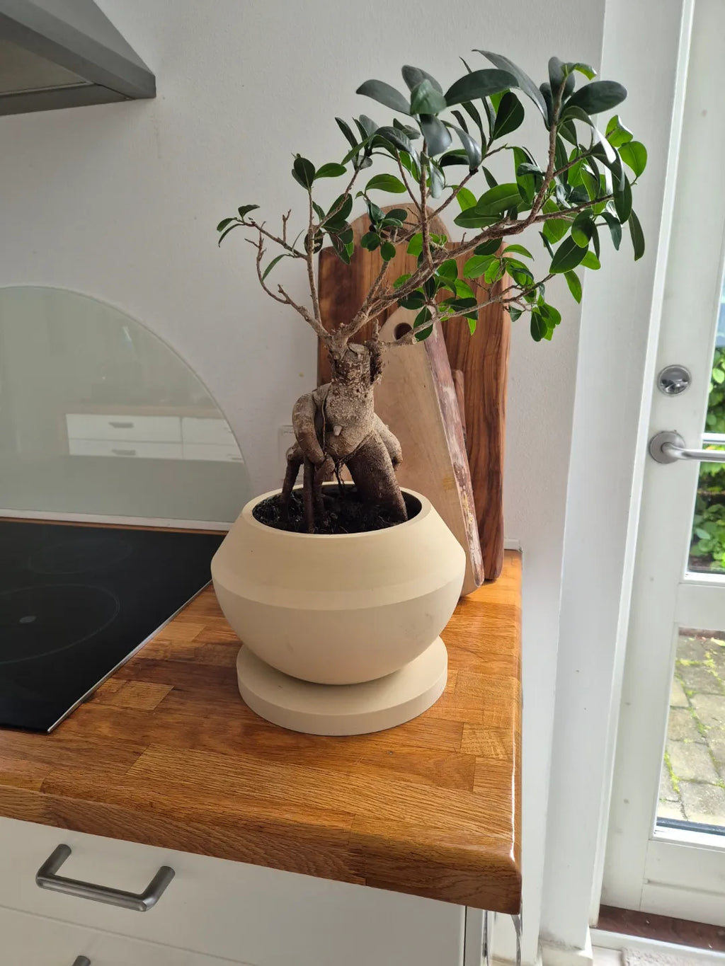 Pot à Bonsaï Moderne