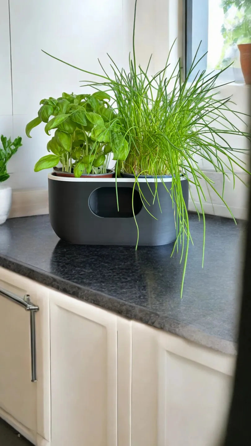 Jardinière auto-arrosante au design élégant