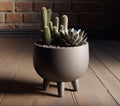 Pot de plante mi-siècle design avec pieds