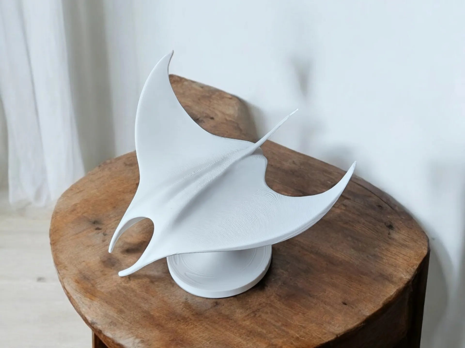 La Sculpture Manta