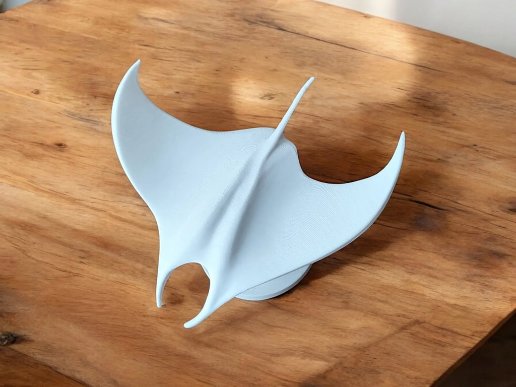 La Sculpture Manta