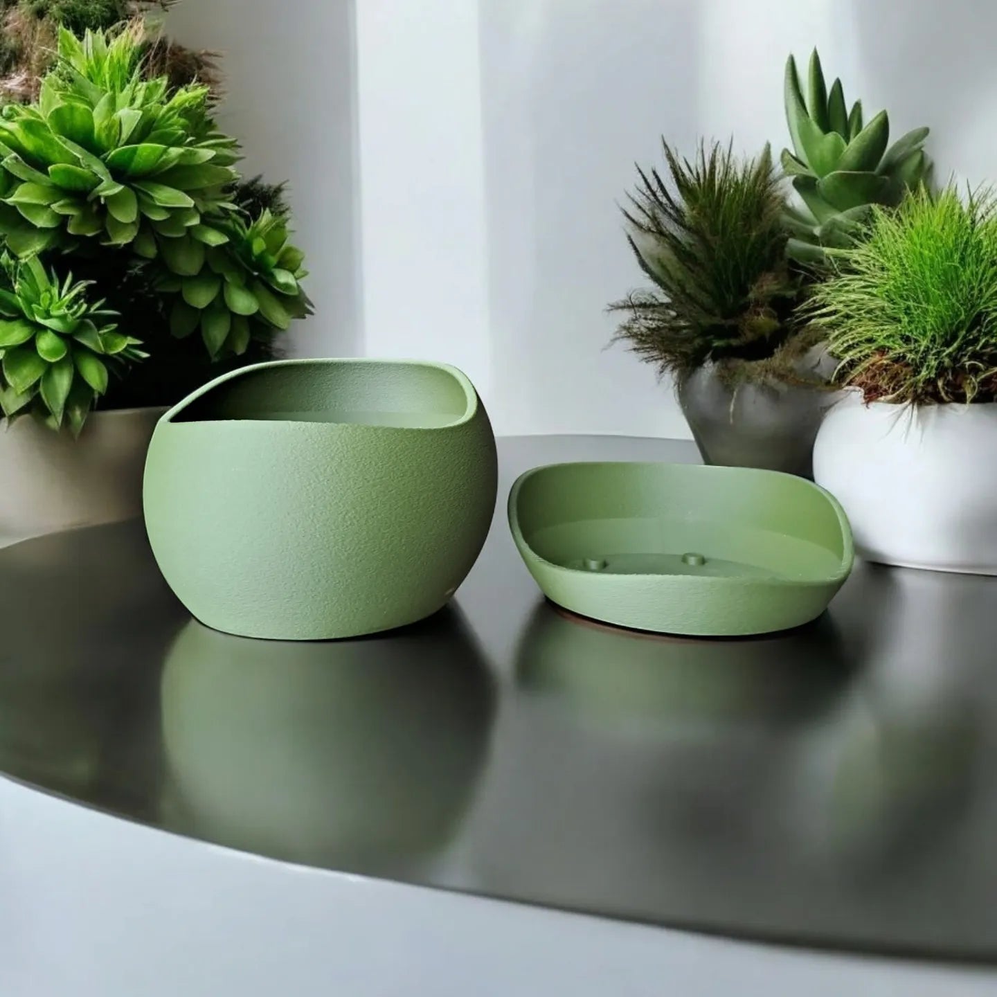 Pot de plante peau de requin avec soucoupe