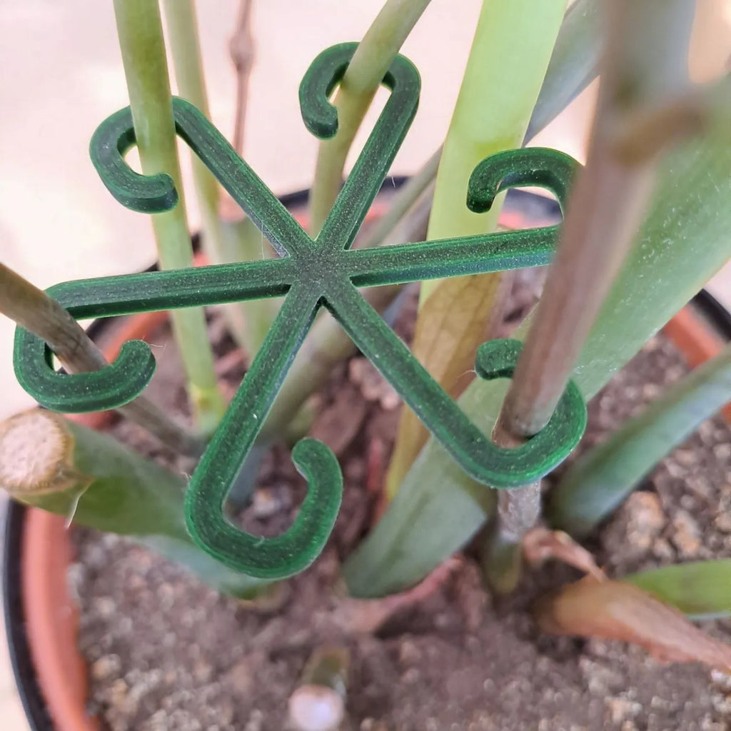 Crochets de support stables pour plantes