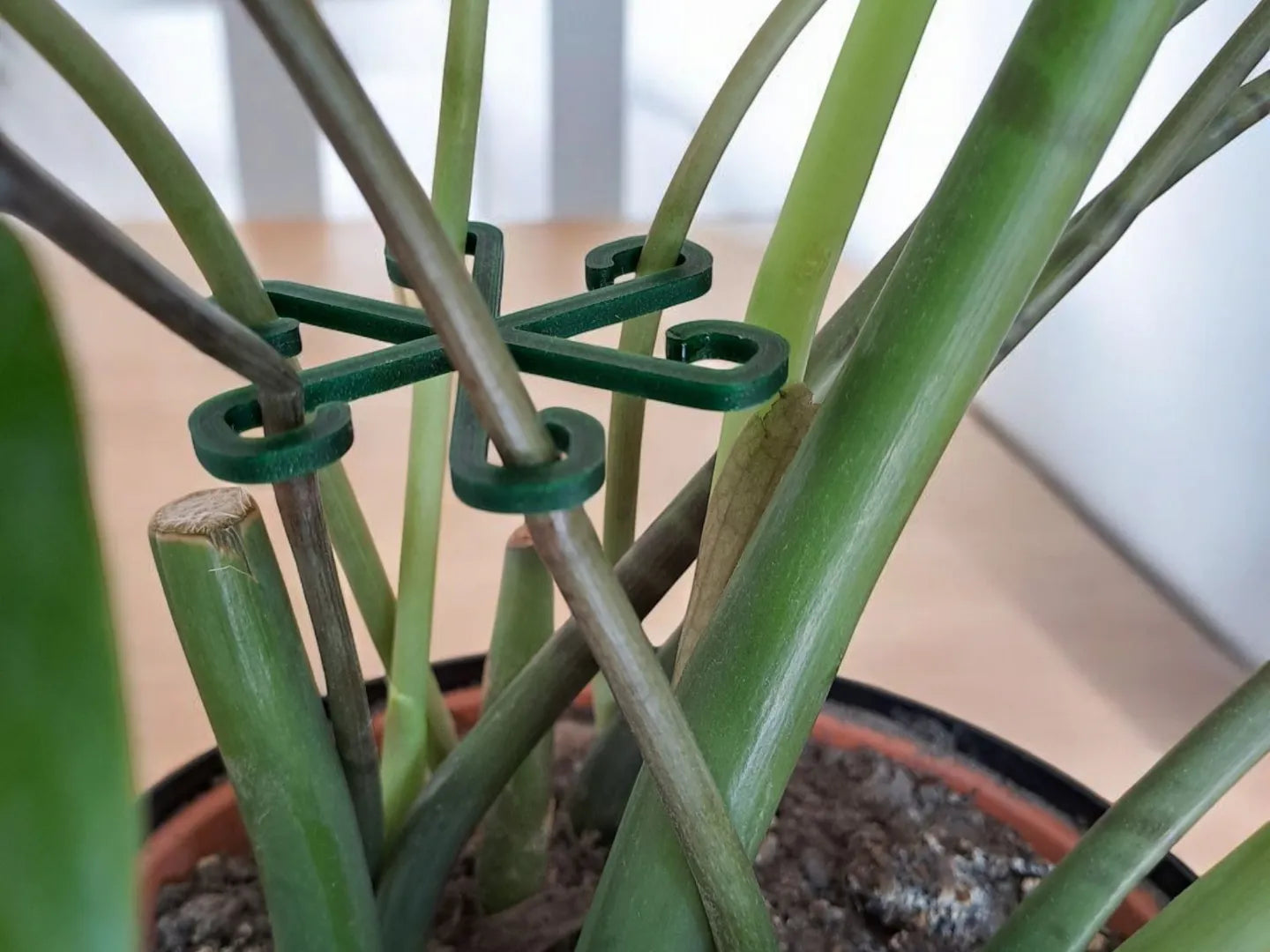 Crochets de support stables pour plantes