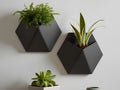 Pot de plante Épurée mural Stealth