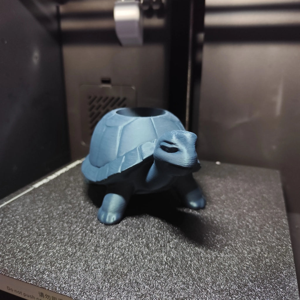 Petit pot de plante tortue adorable
