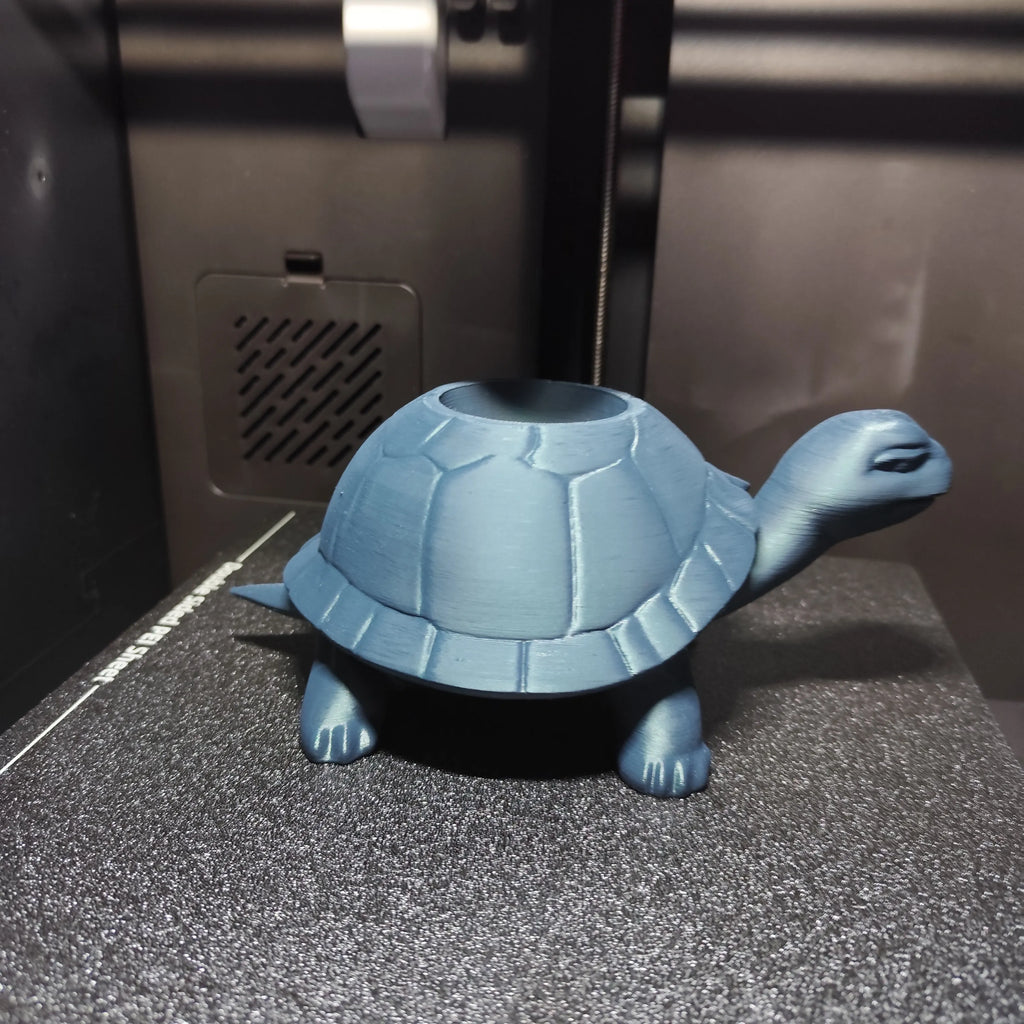 Petit pot de plante tortue adorable