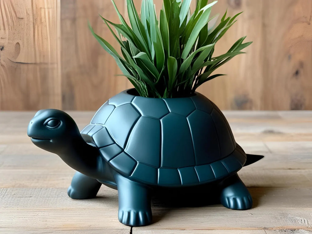 Petit pot de plante tortue adorable