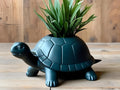 Petit pot de plante tortue adorable