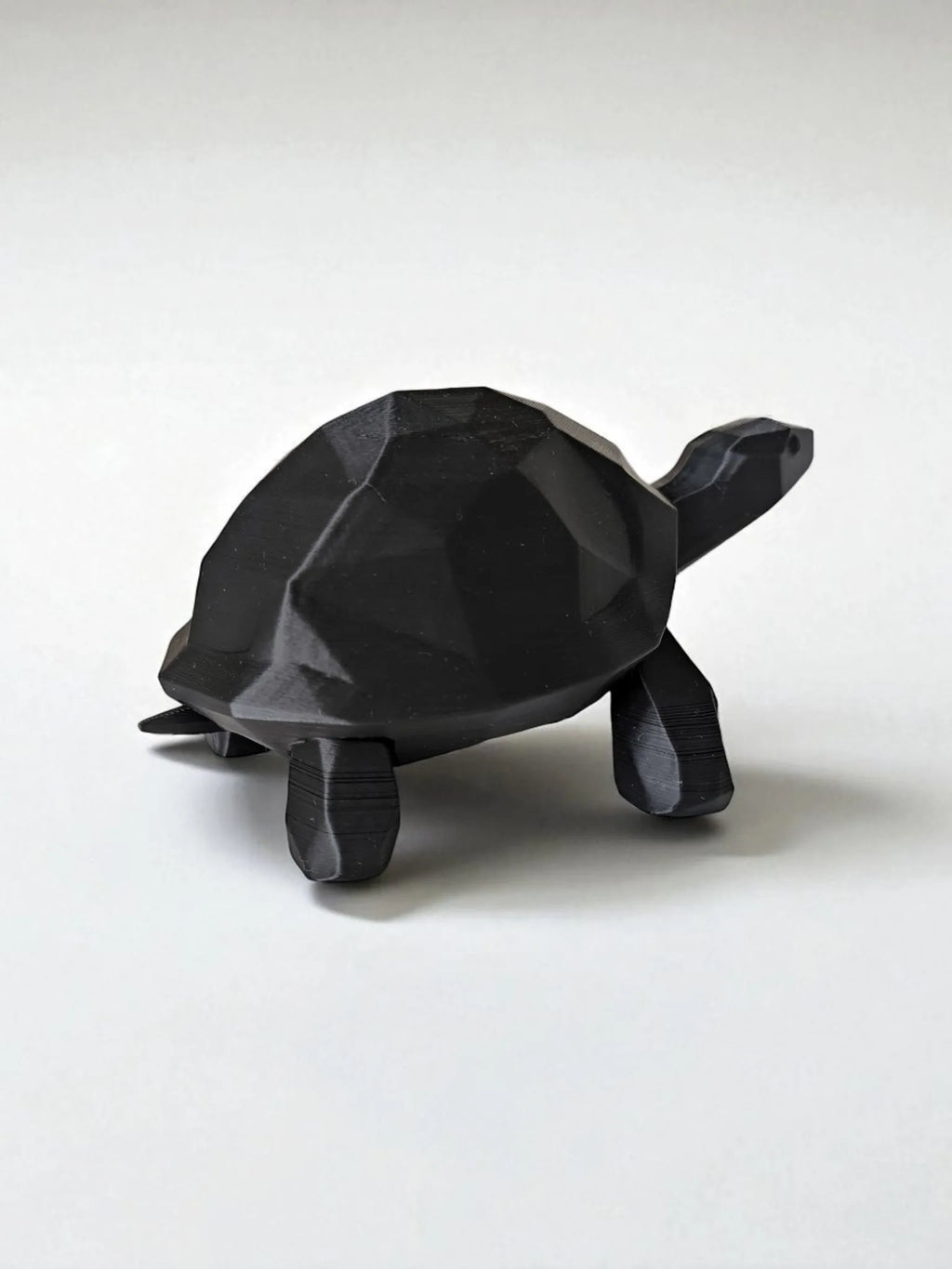 Tortue basse poly marchante