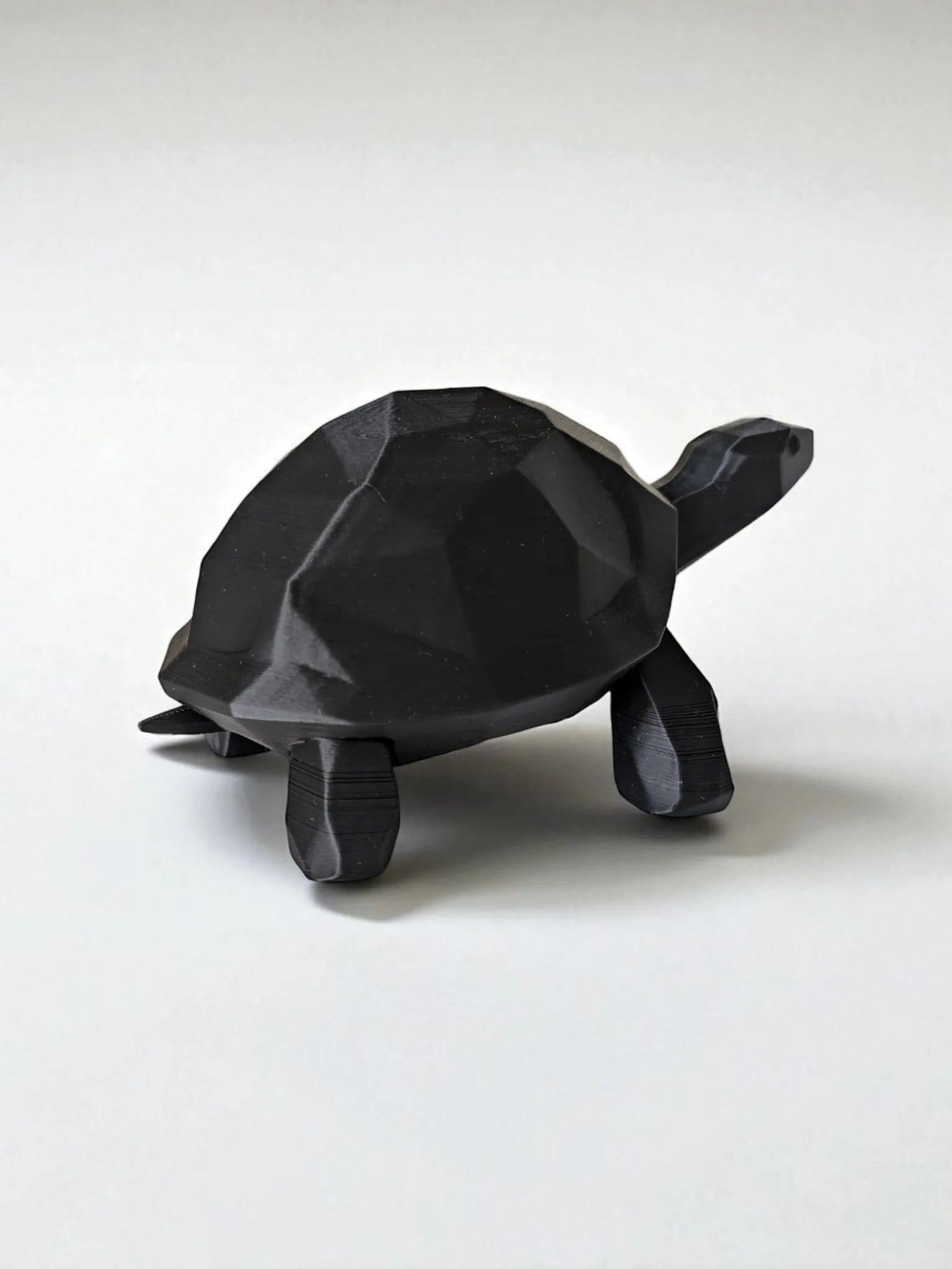 Tortue basse poly marchante